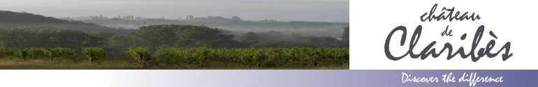 view over the steep cabernet sauvignon vineyard  toward St Quentin de Caplong